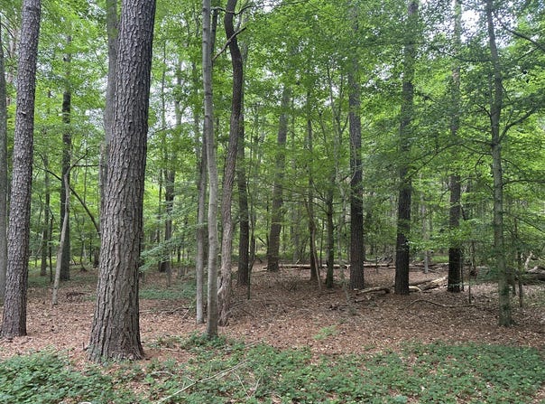 0 Lord's Creek Drive, Eden, MD 21822