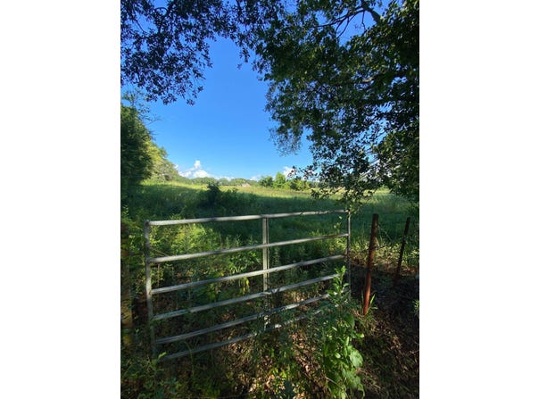 TBD Kirk Rd, Maurice, LA 70555
