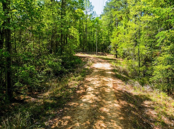 15+/- Acre Rockhill Rd., Purvis, MS 39475