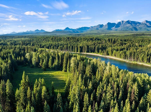 NHN North Fork Road, Polebridge, MT 59928