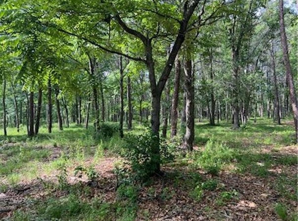 Tbd Clearwater Road, Baxter, MN 56425