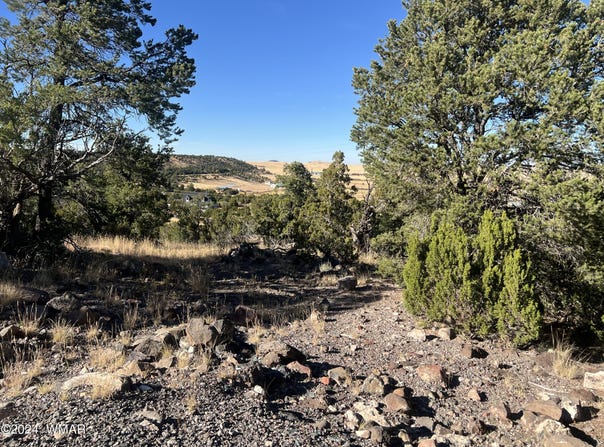 Tbd S Skyline Drive, Eagar, AZ 85925