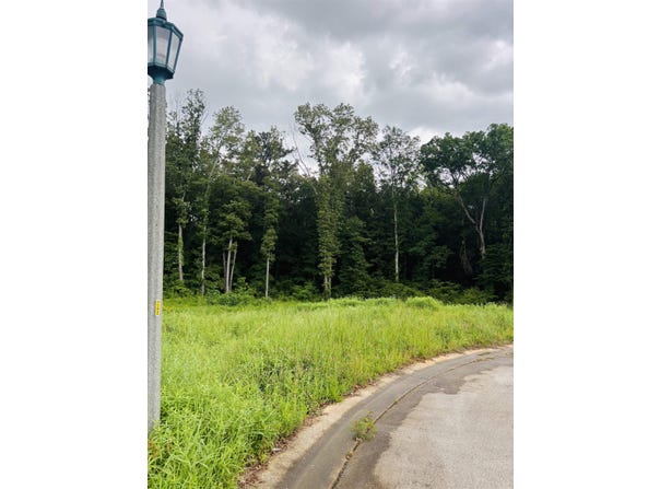 Lot 20 Cascade Dr, Florence, AL 35633