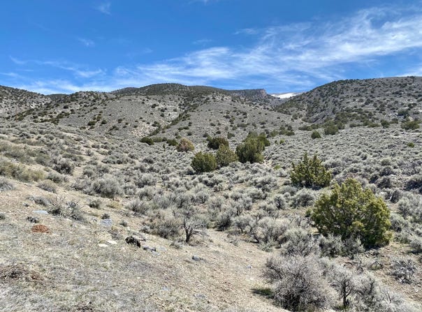 25200 Ramsey Road unit: 37, Lovelock, NV 89419