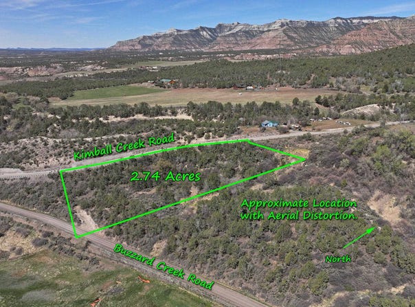 58450 Buzzard Creek Road, Collbran, CO 81624