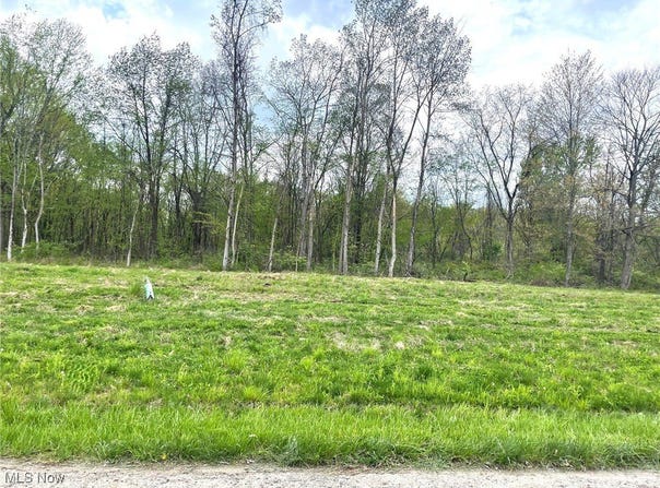 Candell Street SE lot: #15, Massillon, OH 44646