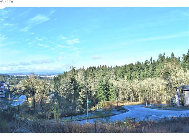 Mountain Ash, Eugene, OR 97405