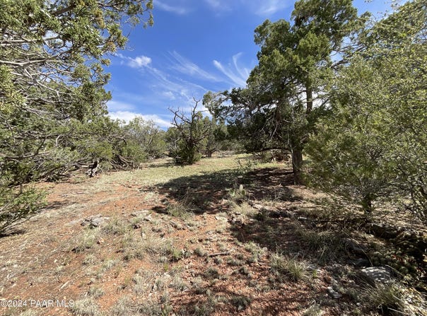 Lot 162 Forest Acres, Seligman, AZ 86337