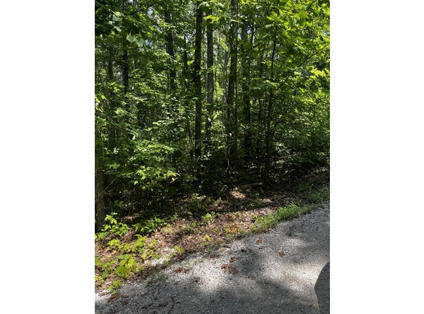 0 Ryan Road, Wellington, KY 40387