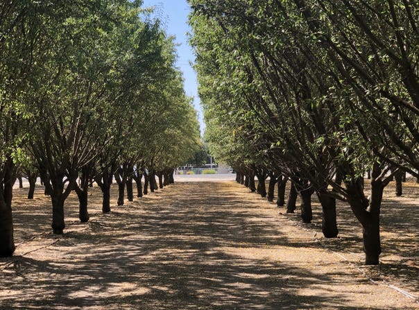 W Marinette Avenue, Exeter, CA 93221
