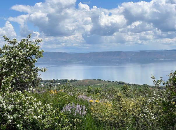 12 ASPEN Pl, Fish Haven, ID 83287