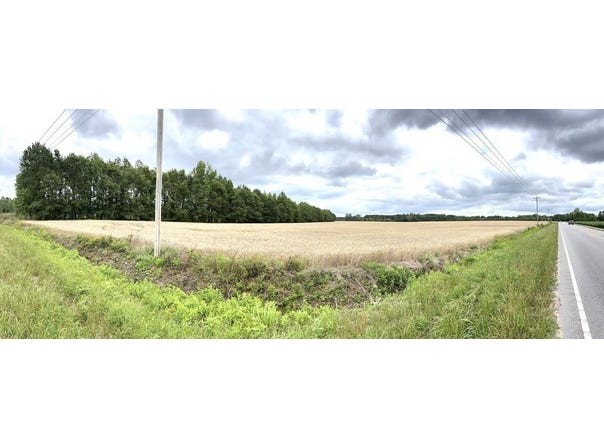 1326 Loss Brook Road, Manning, SC 29102