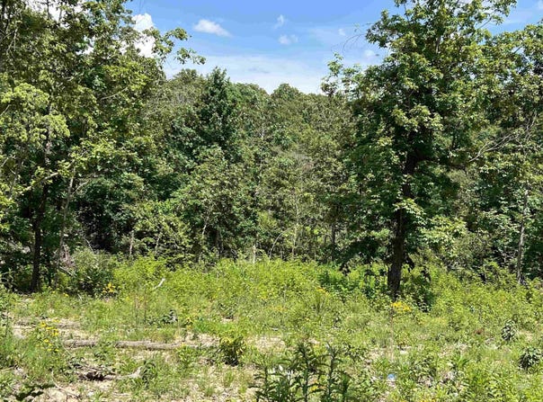 Lot 45 PR Ridge Haven, Mammoth Spring, AR 72554