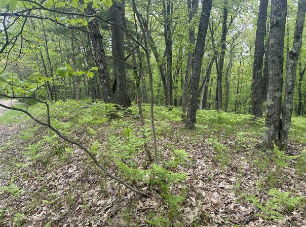 00 Oxpath, Baldwin, MI 49304