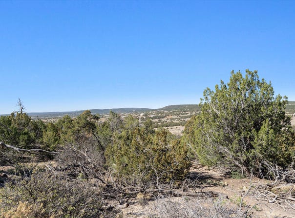 35 ALTA Court, Edgewood, NM 87015