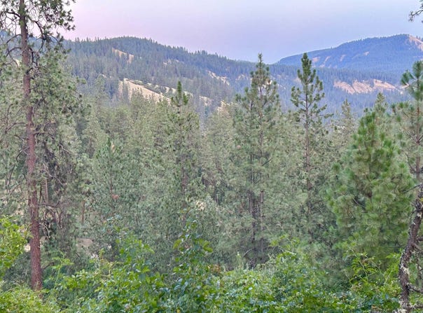 Tbd Highland Ct, Orofino, ID 83544