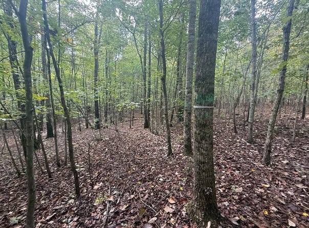 Westpoint Stevens Rd lot: 10, Drakes Branch, VA 23937