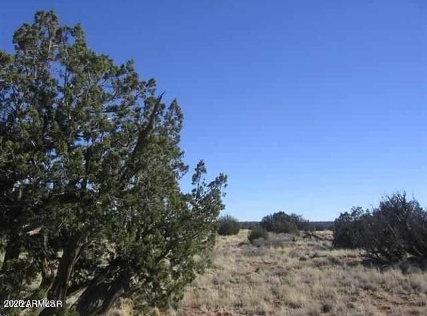 Sec 5 T14N, R16E CR Lot 016B --, Heber, AZ 85928