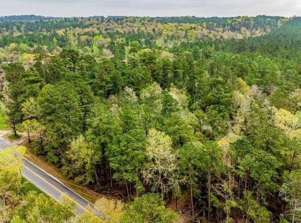 Morristown Rd lot: B, Jay, FL 32565