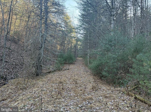 BUCK HILL LANE, SUGAR GROVE, WV 26815