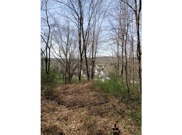 Essman Sugar Camp Rd, South Webster, OH 45682