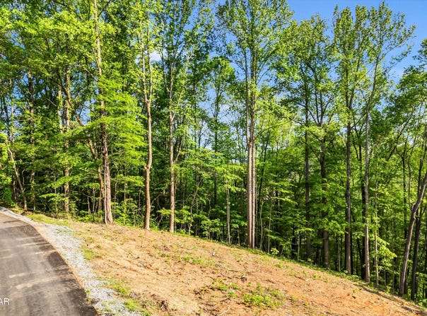 Lot 27 Sugar Maple Loop Road, Sevierville, TN 37862