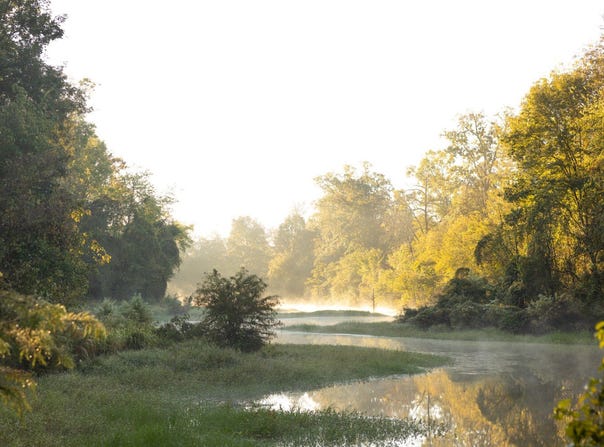 Paulette Rd, Macon, MS 39341