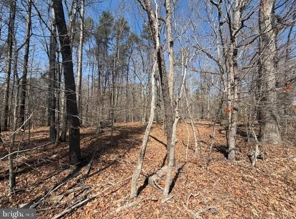 COUNTRYSIDE LANE - LOT 2, LIGNUM, VA 22726
