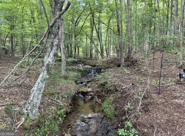 140+/- Ac Hwy 100, Franklin, GA 30217