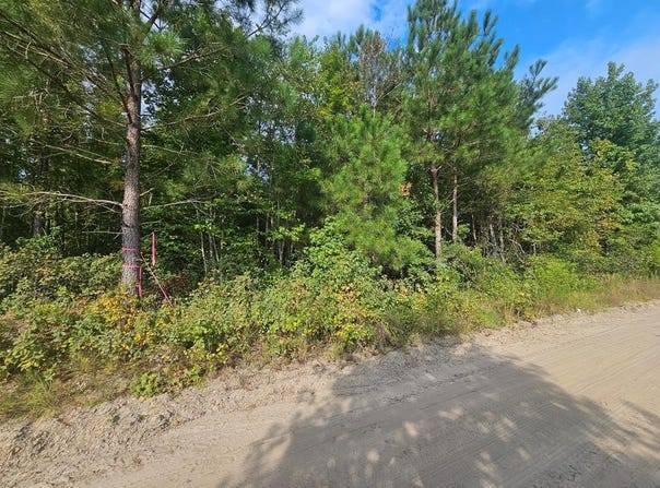 Tbd Roxborough, Elloree, SC 29047