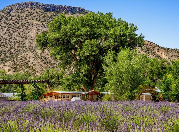 Purple Adobe Lavender FARM #25 Private Dr 1622, Abiquiu, NM 87510