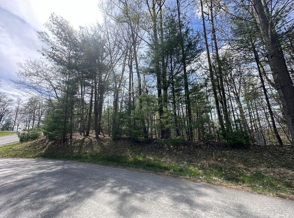 Nelson Lane, DANIELS, WV 25832