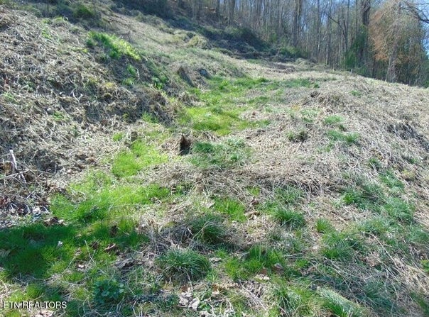 Walnut Lane, Pineville, KY 40977