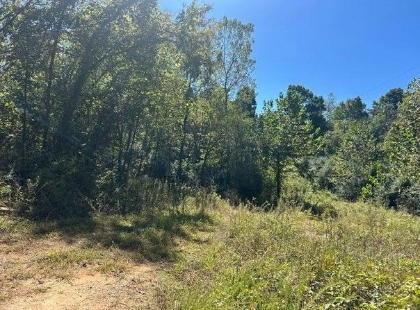 162 Ripley U-1, Doniphan, MO 63935