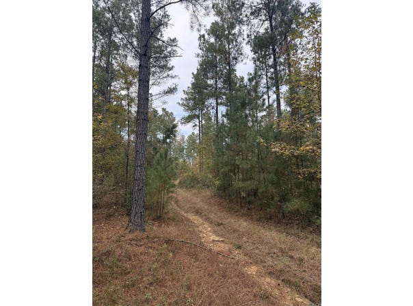 Hitt Road, Murfreesboro, AR 71958