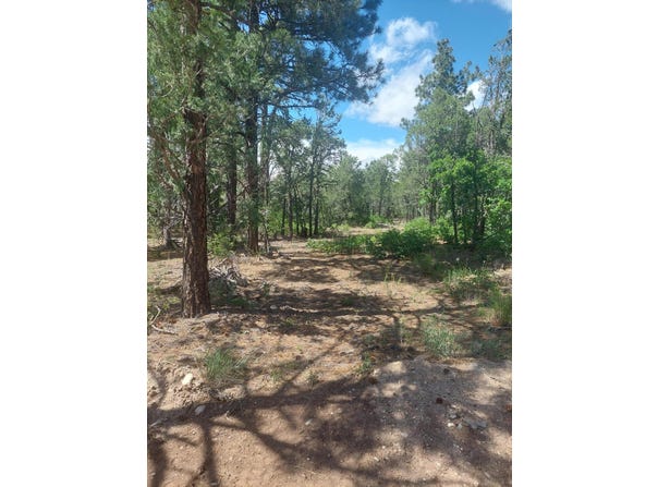 16 Secret Pines Court, Tijeras, NM 87059