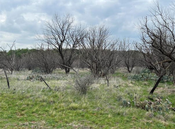 Tbd Loop 252, Caddo, TX 76429