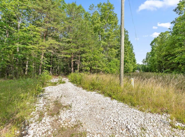 0 Griff Johnson Road, Menlo, GA 30731
