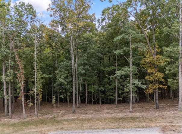 184 Hammock Court, Loudon, TN 37774