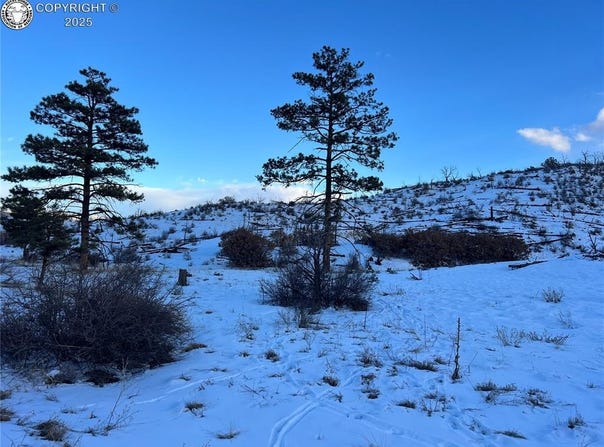 788 36th Trail, Cotopaxi, CO 81223
