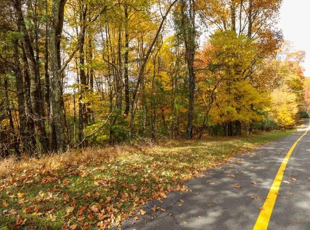 Lot 116 Old Hollow Trail, Fancy Gap, VA 24328