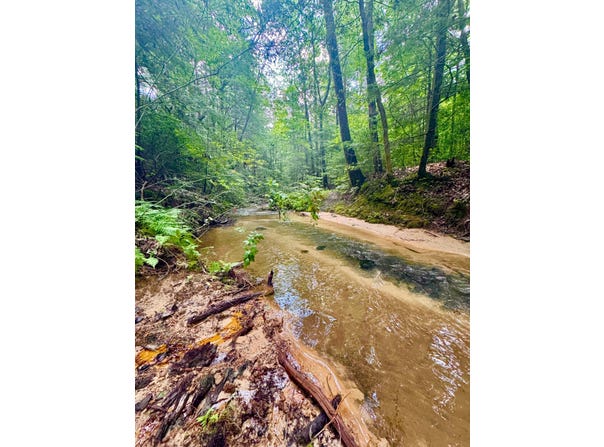 0 Highway 195, Ashridge, AL 35553