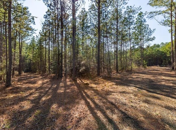 R28371 County Road 411, San Augustine, TX 75972
