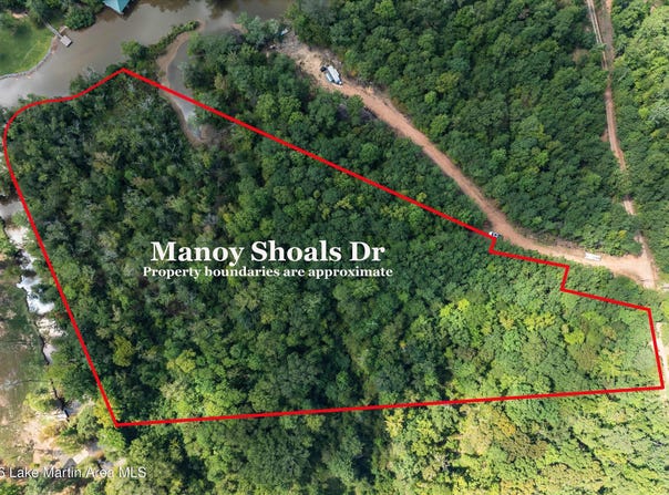 Manoy Shoals Dr, Jacksons Gap, AL 36861