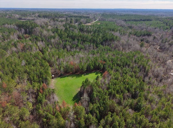 * Tortoise Road, Lisman, AL 36912