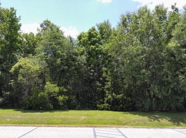 NW County Road 12, Bristol, FL 32321