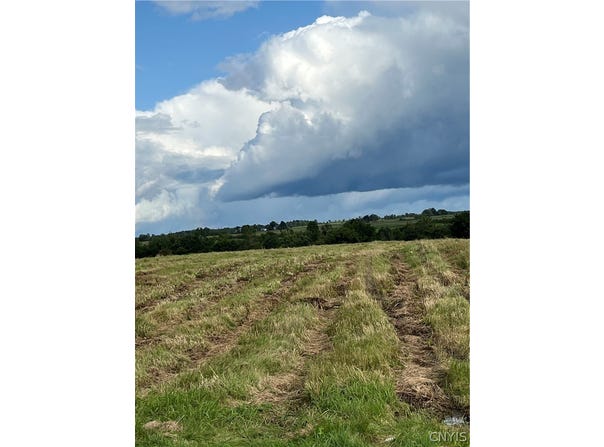 Elm Ridge Road, Evans Mills, NY 13637