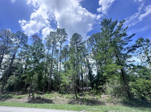 107 GEORGETOWN POINT RD, Georgetown, FL 32139
