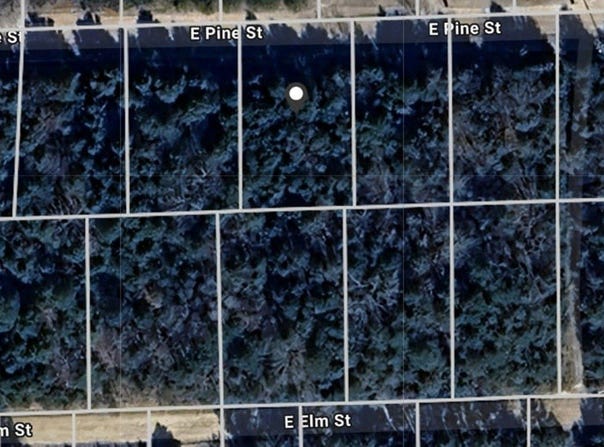 Pine Street lot: 39, Lead Hill, AR 72644