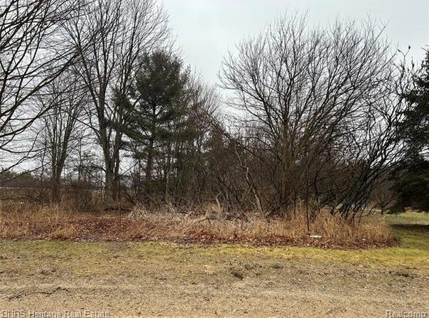 Cedar Rd, Handy Twp, MI 48836